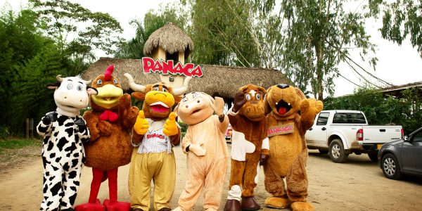 panaca panaca